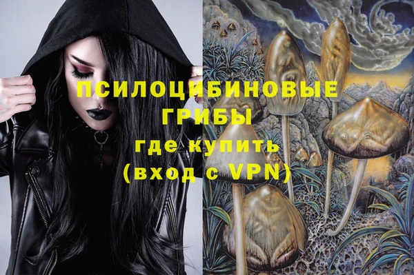 a pvp Армянск