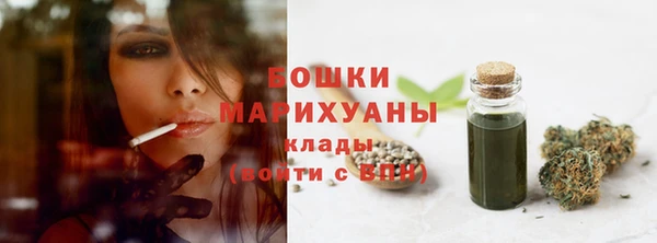 прущая мука Арсеньев